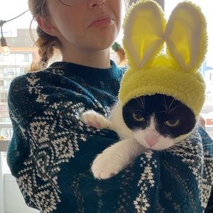 Meet your Posher, Ashton